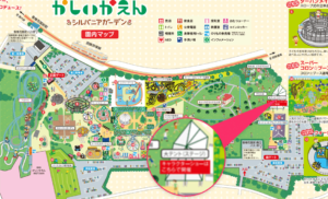 大テント