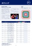ボクシング日程１