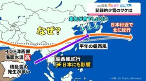 2020年偏西風