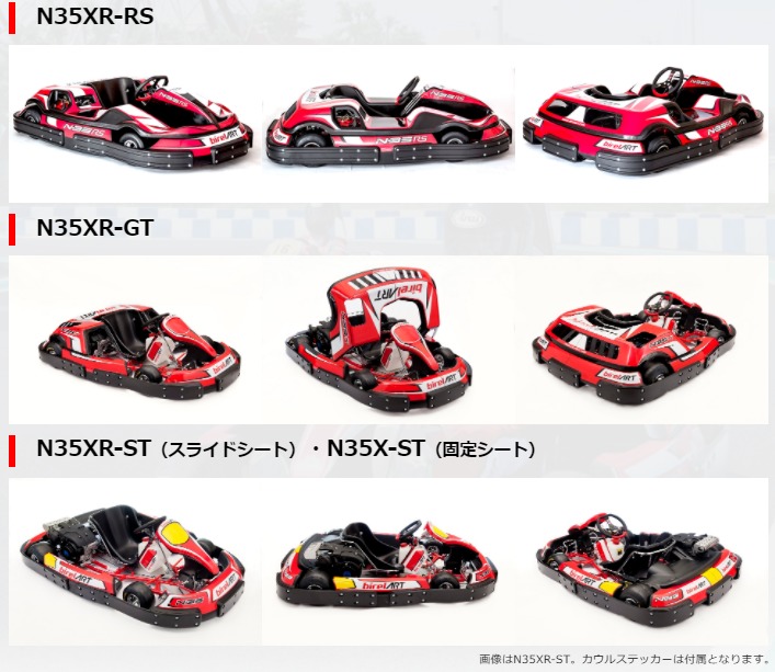 Birel N35